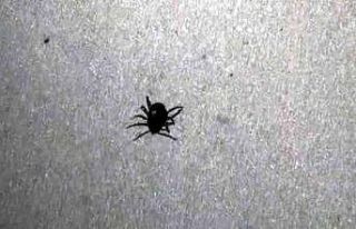 Yozgat’ta keneden ölenlerin sayısı 4’e yükseldi