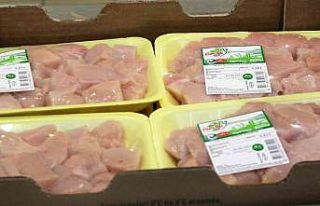 Yüksek teknolojiyle el değmeden işlenen tavuklar,...