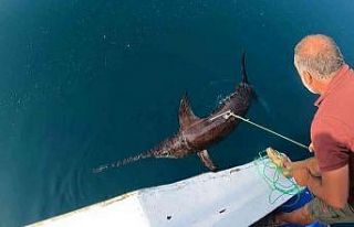 Yunanlılara kafa tutan Türk balıkçıdan nefes...