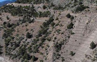 Yusufeli yeni yerleşim yerinde 8 hektarlık alanda...