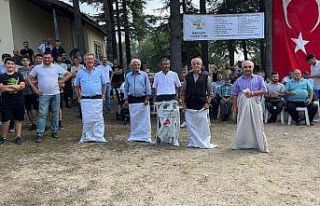 Yüzlerce yıllık gelenek... Yaşlılar kıyasıya...