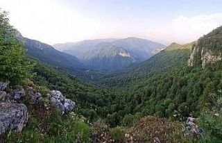 Zonguldak, Bartın ve Karabük’te ormanlık alanlara...