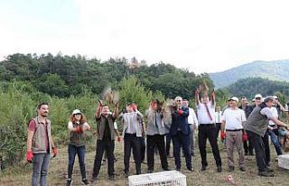 Zonguldak’ta bin sülün doğaya salındı