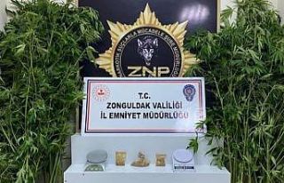 Zonguldak’ta uyuşturucu operasyonunda 3 tutuklama
