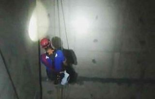 10 metrelik su havzasına düşen köpek ekipler tarafından...