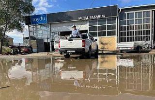 15 dakikalık yağış sonrası biriken suda balık...