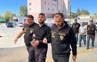 2 akrabasını öldürdüğü iddia edilen 3 şüpheli...