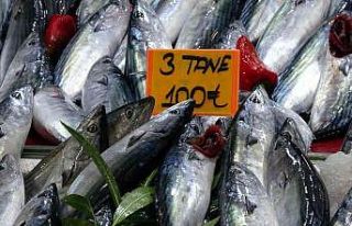 3 tane palamut 100 lira