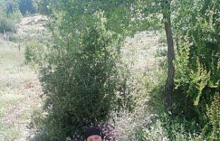 7 yaşındaki Ege ve annesinden 4 gündür haber alınamıyor