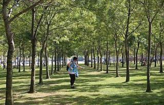 81 ilde eş zamanlı temizlik