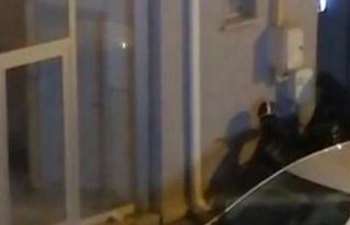 Acemi hırsızlar kameraya yakalandı