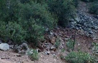 Adana’da şiddetli sağanak heyelana neden oldu