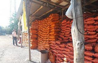 Adıyaman’da 100 ton kömüre el konuldu