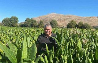 Adıyaman’da Ege menşeli tütün alımı sancılı...