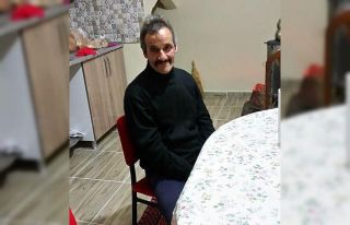 Ağaçtan düşen şahıs hayatını kaybetti