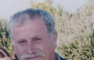 Ağaçtan düşerek hayatını kaybetti