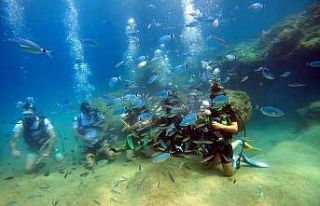 Akdeniz’in su altı dünyasını keşfediyorlar