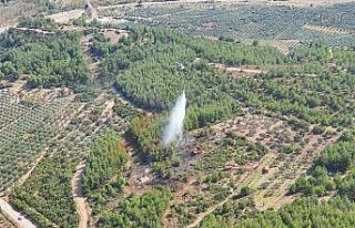 Akhisar’daki orman yangını kontrol altına alındı