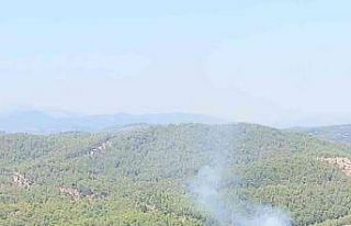 Alanya’da orman yangınında 2 dönüm alan zarar...