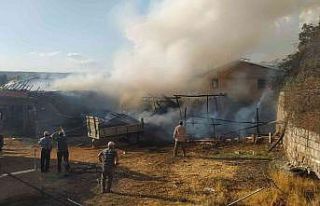 Alevlere teslim olan ahır ve samanlık küle döndü