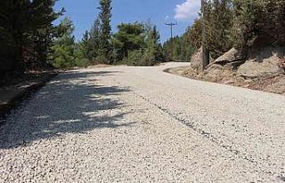 Altınkaya Mahallesinin 28 yıllık asfalt sorunu...