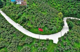 Altınordu’da beton yol çalışmaları sürüyor