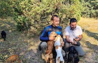 Altıntaş’ta eğitimli köpeklerle Trüf Mantarı...