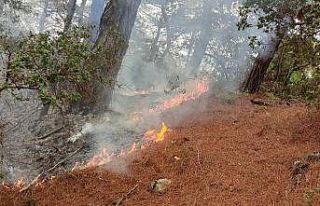 Amanos Dağları’na düşen yıldırım orman yangınına...