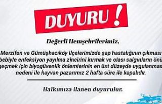Amasya’da hayvan pazarı şap hastalığı nedeniyle...