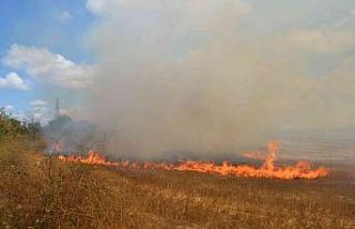 Anız yangını büyümeden söndürüldü