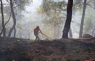 Antalya’da çıkan orman yangını kontrol altına...