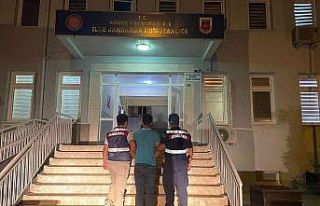 Antalya’da telefon faresi jandarmadan kaçamadı