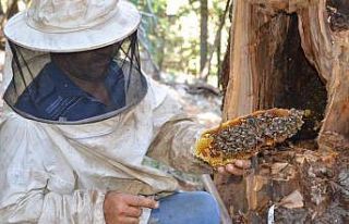 Antalyalı balcılar Toros Dağları’nda firari...