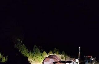 Aracın tavanına düşen eşek, babanın ölümüne...