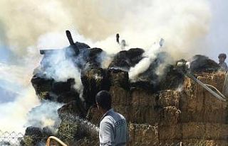 Aras Elektrik yardıma koştu