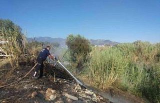 Arazi yangınlarına itfaiyeden hızlı müdahale