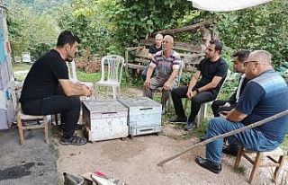 Arıcılığın gelişmesi için istişare