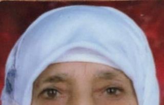 Aslan ailesinin acı günü