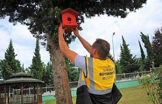 Atık ahşaplar kuşlara yuva oldu