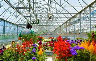 Atıkların çiçeği dönüştüğü projeye ödül