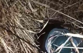 Av denetimlerinde ses cihazı ele geçirildi