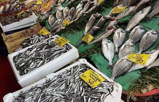 Av sezonu açıldı, tezgahlar balık doldu