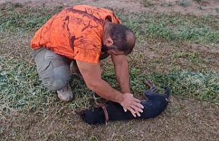 Avcı can dostunu köpeğini kalp masajı yaparak...
