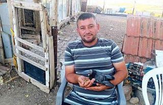 Avucunda beslediği kumrusuyla olan dostluğu dikkat...