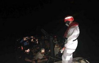 Aydın’da 13 düzensiz göçmen kurtarıldı