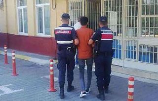 Aydın’da aranan 3 şahıs jandarmaya takıldı