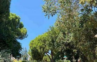 Aydın’da narkotik polisinden okul çevrelerinde...