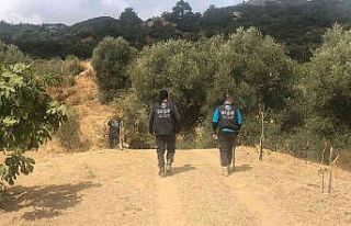 Aydınlı avcı köşe bucak aranıyor