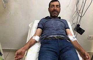 Ayı çobana saldırdı