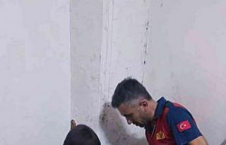 Bacaya sıkışan kedi kurtarıldı